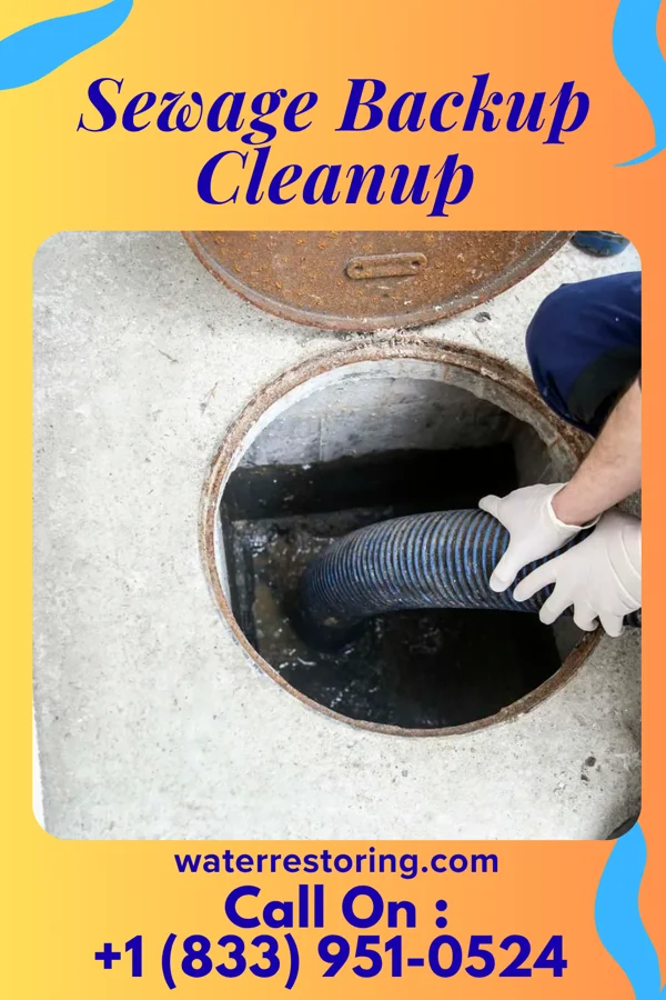 Sewage Backup Cleanup in Ben Arnold, TX